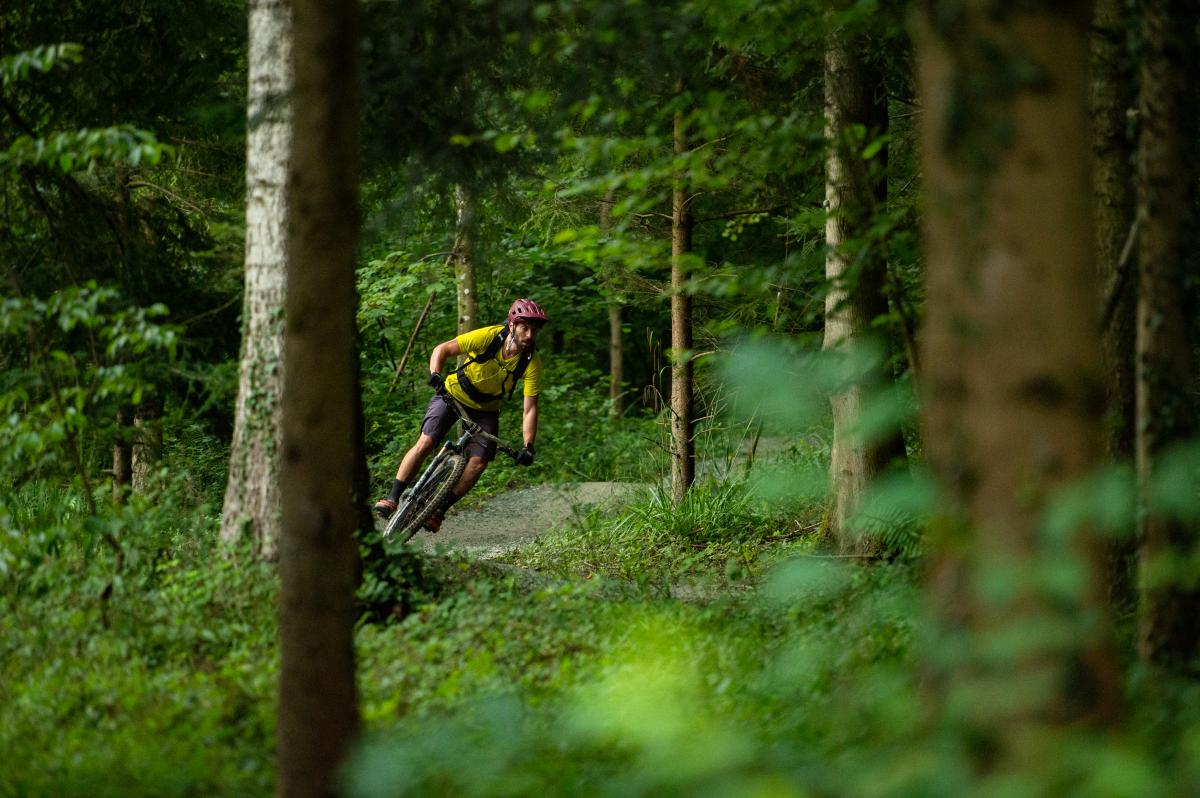 Vététistes sur l'Uetliberg